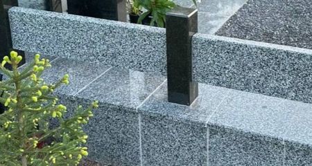 Вырыли елки прямо из могилы: в Кривом Роге завелись растительные клептоманы