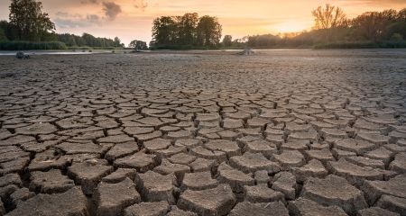 Наслідки посухи: у Дніпропетровщині на місці водойми виявили тонни мертвої риби (ВІДЕО)