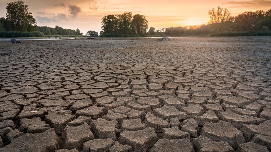 Наслідки посухи: у Дніпропетровщині на місці водойми виявили тонни мертвої риби (ВІДЕО)