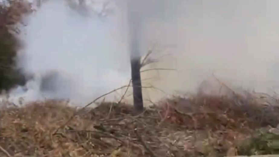В Кривом Роге дети устроили пожар на территории школы (ВИДЕО)