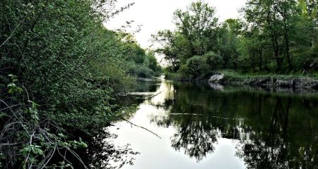 Павлоград понесе покарання за забруднення річки Самари нечистотами