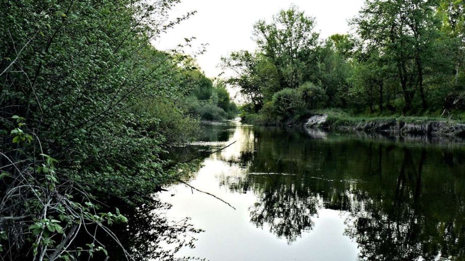 Павлоград понесе покарання за забруднення річки Самари нечистотами