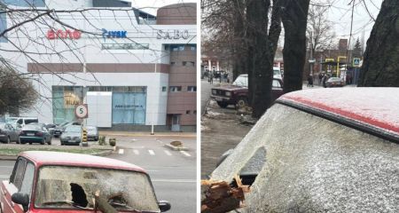 В Днепре огромная ветка упала на автомобиль и разбила стекло (ФОТО)