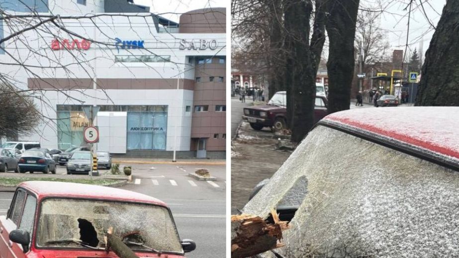 В Днепре огромная ветка упала на автомобиль и разбила стекло (ФОТО)