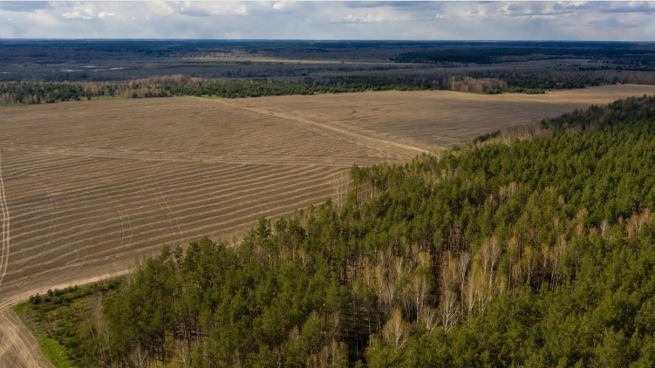 На Дніпропетровщині понад 420 гектарів землі заказників повернули державі