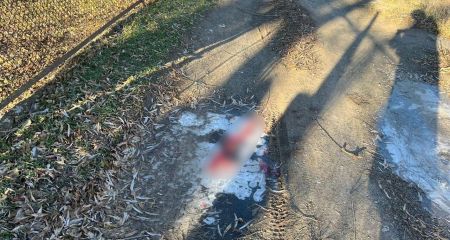 На Криворіжжі чоловік посеред вулиці до смерті побив знайомого