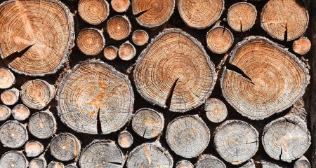 На Криворіжжі в'язень продавав неіснуючі дрова