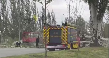 У Дніпрі на Донецькому шосе величезне дерево впало і перегородило дорогу (ВІДЕО)