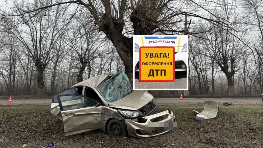 В Кривом Роге легковушка на скорости влетела в дерево (ФОТО)