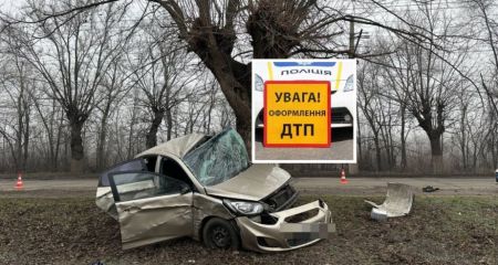 Два тижні в реанімації: у Кривому Розі в лікарні помер водій, який врізався у дерево