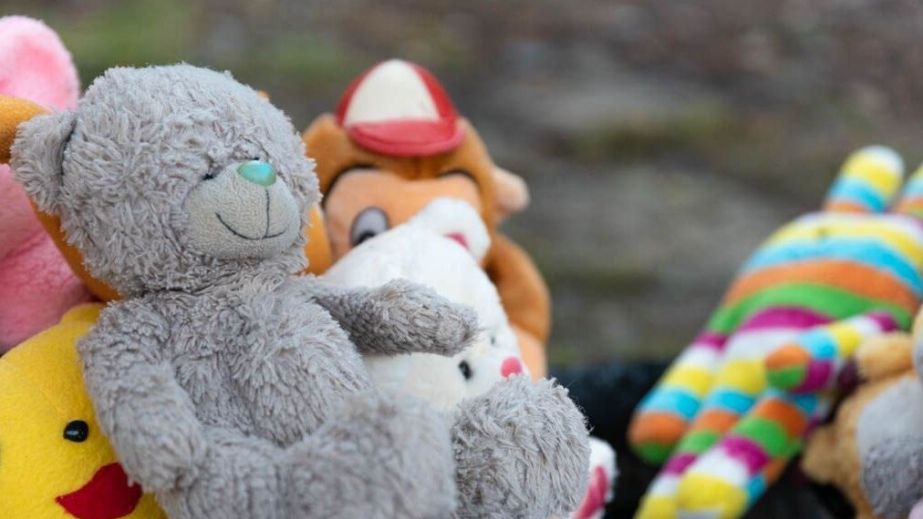 У Дніпрі пара підлітків поцупила іграшки з інсталяції