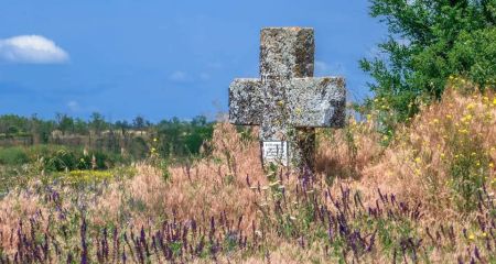 На Днепропетровщине сохранилось старинное казацкое кладбище (ФОТО)