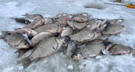 У Кам'янському чоловік незаконно наловив карасів на 96 тисяч гривень (ФОТО)