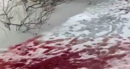 У Дніпрі на річці крига вкрилася червоним кольором (ВІДЕО)