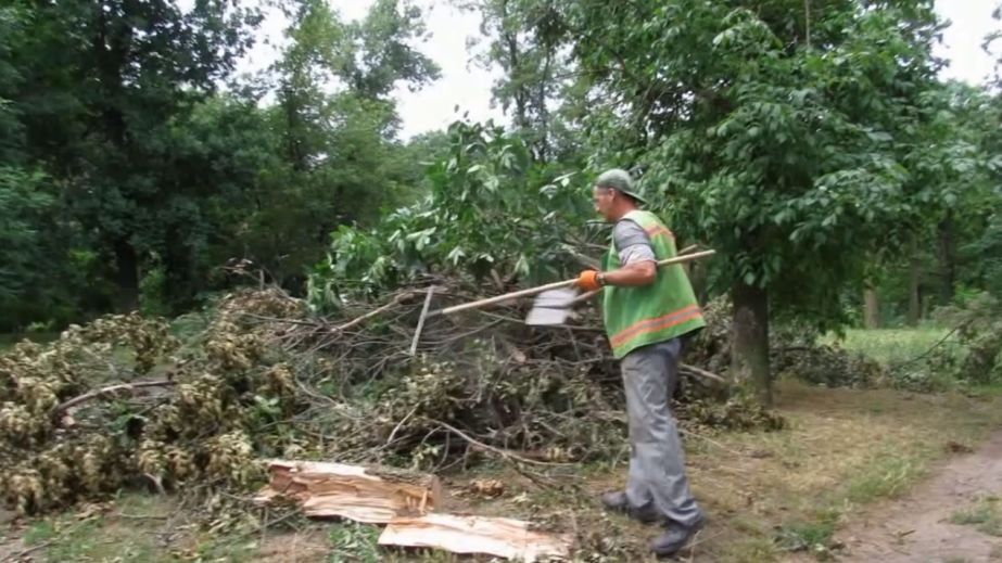 Впав стовп та дерева: у Дніпрі вирує стихія (ВІДЕО)