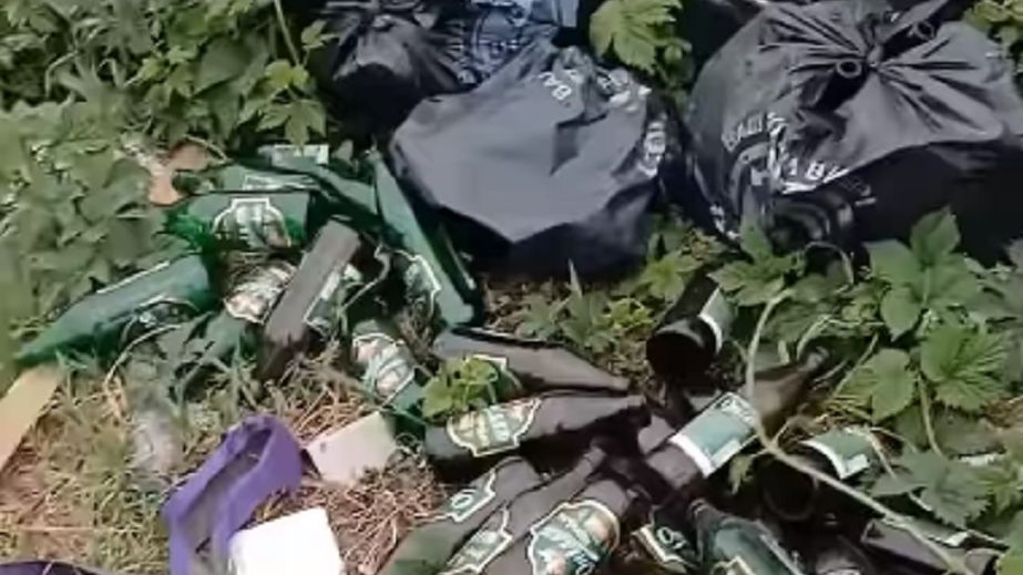 "Пляж" для пивных бутылок и постоянные пожары. В Днепре показали превращение зеленой зоны в свалку (ВИДЕО)