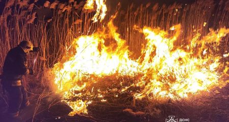У Дніпрі сталася масштабна пожежа: на великій площі горів очерет (ФОТО, ВІДЕО)