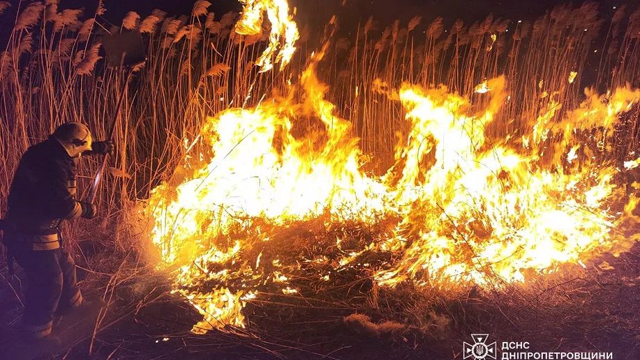 У Дніпрі сталася масштабна пожежа: на великій площі горів очерет (ФОТО, ВІДЕО)
