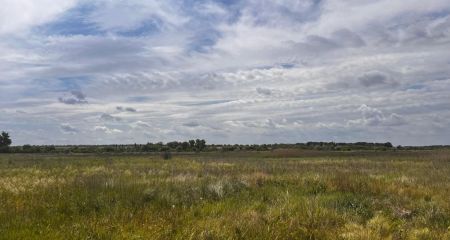 На Дніпропетровщині державі повернули землі вартістю 2 млрд грн