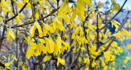 Якою буде погода у Дніпрі 19 березня