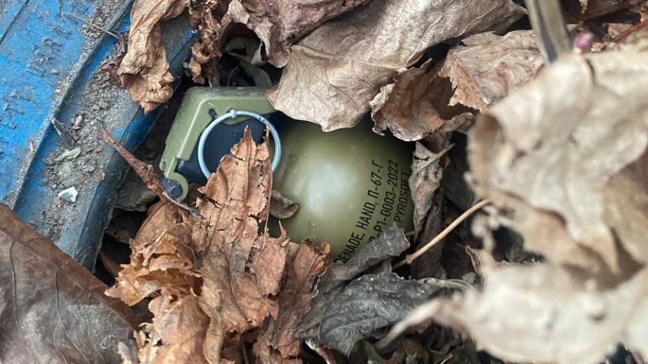 В Днепре компания подростков вытащила из реки гранату (ФОТО)