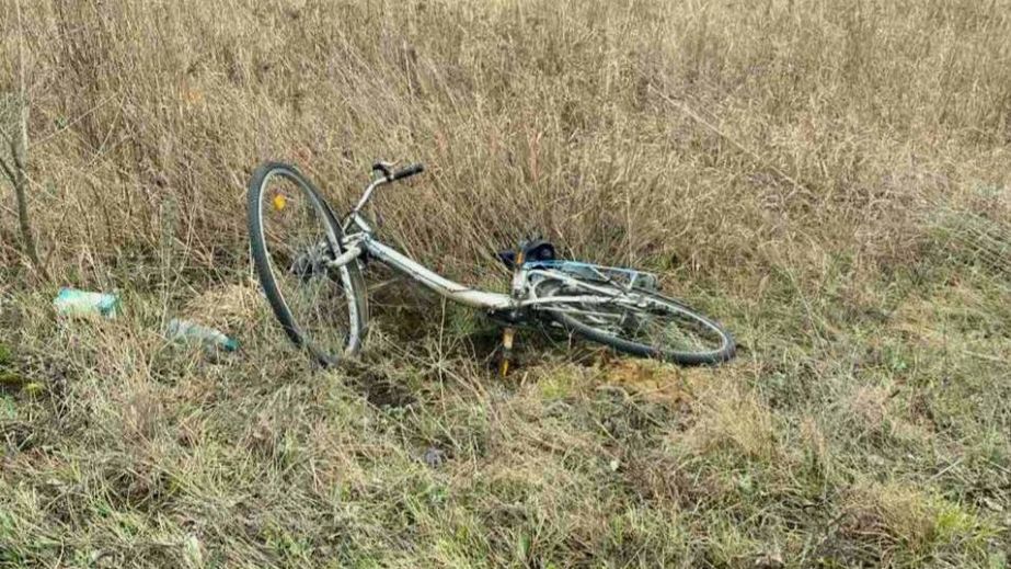 Неподалік Кам'янського вантажівка збила велосипедиста (ФОТО)