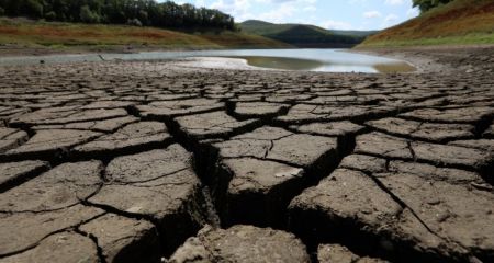 На Дніпропетровщині критично обміліли ріки: причини та прогнози
