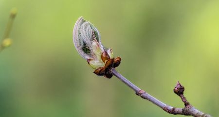Якою буде погода у Дніпрі та області 29 березня