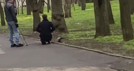 У Дніпрі чоловік вигулював у парку ворону на повідку (ВІДЕО)