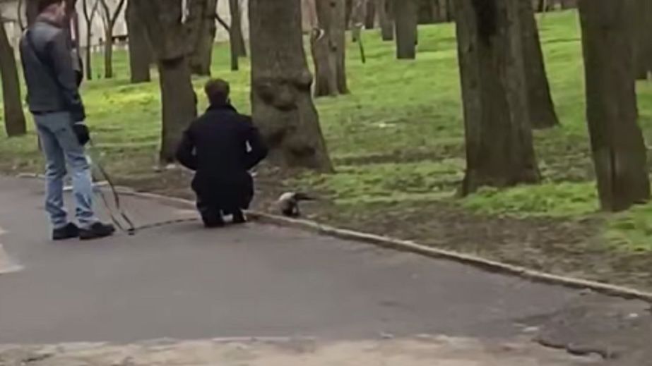 В Днепре мужчина выгуливал в парке ворону на поводке (ВИДЕО)