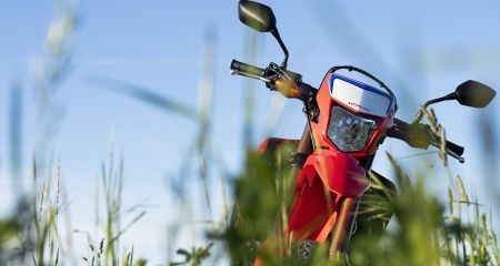 На Синельниківщині мотоцикліст влетів у дерево і ледь не загинув