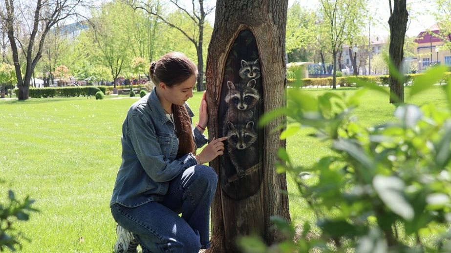 В городе на Днепропетровщине переселенка "поселила" семью виртуальных енотов в дереве (ФОТО)