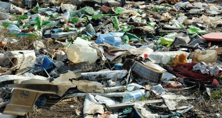 Вокруг уже бегают крысы: на одной из улиц Днепра мусор не вывозят три недели (ФОТО)