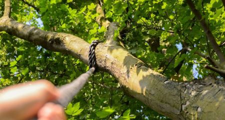 На одной из улиц Кривого Рога обнаружили повешенного мужчину (ФОТО)