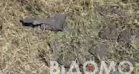 Под Павлоградом люди находят на огородах остатки "шахедов" (ВИДЕО)
