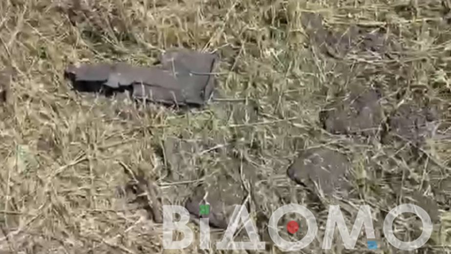 Під Павлоградом люди знаходять на городах залишки "шахедів" (ВІДЕО)