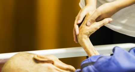 Дедушка часами лежал на холодном полу: в больнице Каменского разразился скандал из-за отношения к пациентам (ВИДЕО)