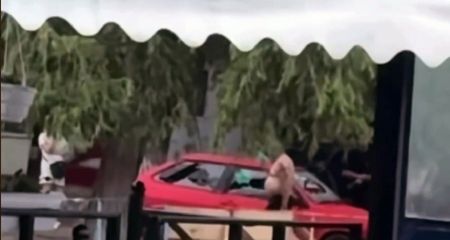 У Дніпрі на пляжі водій розбив свій автомобіль і стрибнув з розбігу у річку (ВІДЕО)