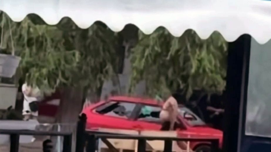 В Днепре на пляже водитель разбил свой автомобиль и прыгнул с разбега в реку (ВИДЕО)