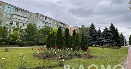 У місті на Дніпропетровщині алеї страждають від вандалів і любителів непристойних написів (ФОТО, ВІДЕО)