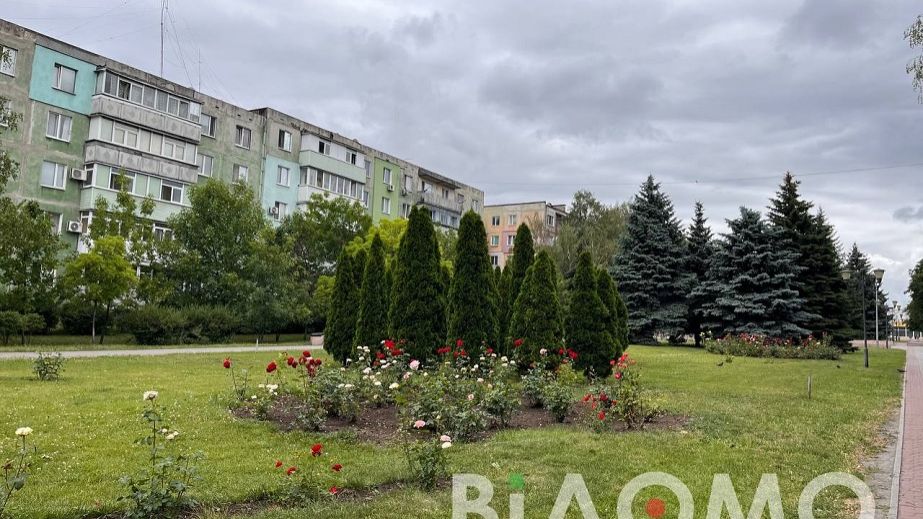В городе на Днепропетровщине аллеи страдают от вандалов и любителей непристойных надписей (ФОТО, ВИДЕО)