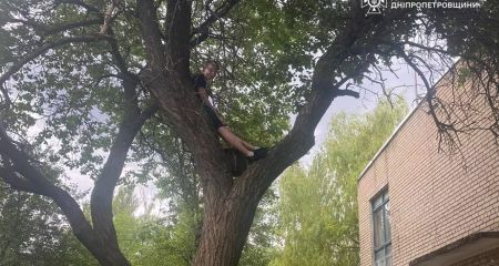 На Днепропетровщине школьник полез на дерево за котом и застрял (ФОТО)