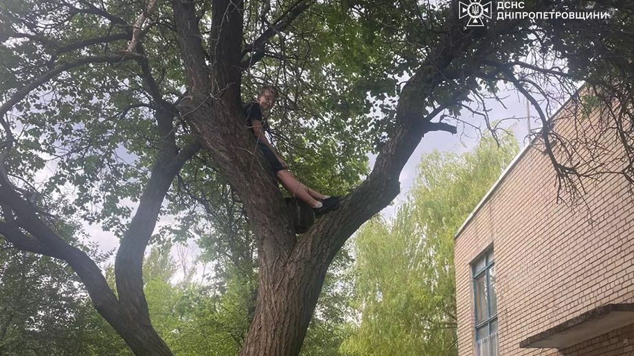На Дніпропетровщині школяр поліз на дерево за котом і застряг (ФОТО)