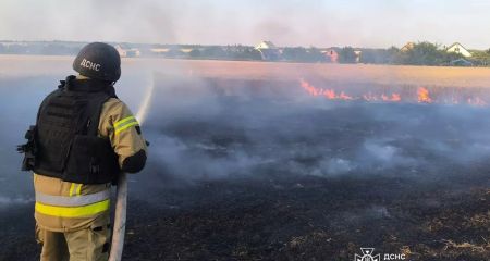 На Дніпропетровщині масово палають екосистеми