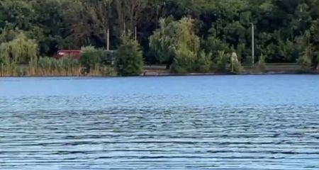 В Кривом Роге водолазы ищут мужчину, который во время отдыха нырнул в пруд и не вынырнул (ВИДЕО)