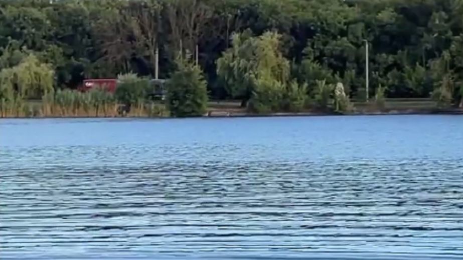 В Кривом Роге водолазы ищут мужчину, который во время отдыха нырнул в пруд и не вынырнул (ВИДЕО)