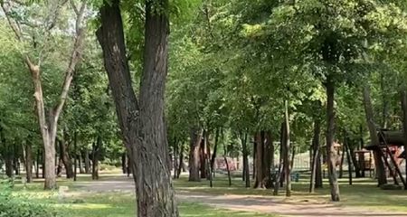 Пока без дождей: какой будет погода в Днепре 2 августа