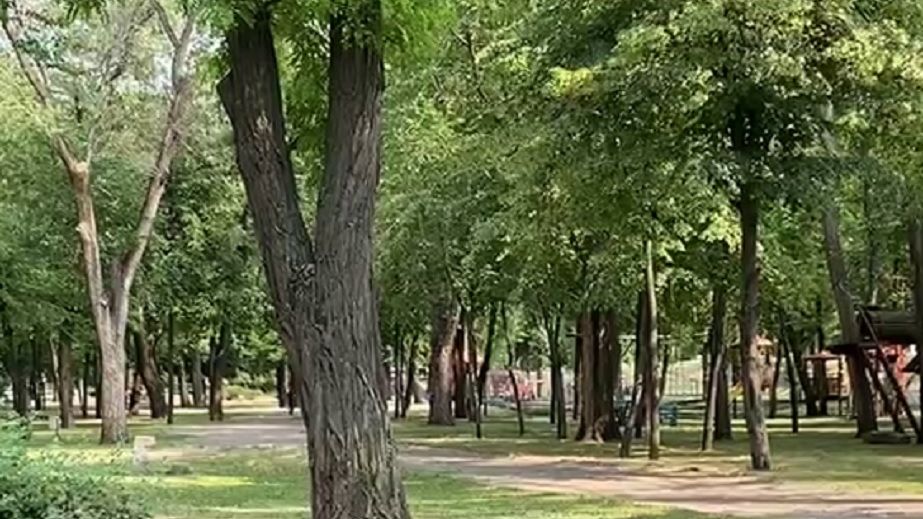 Поки без дощів: якою буде погода у Дніпрі 2 серпня