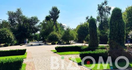 В популярном парке Кривого Рога отремонтируют лодочную станцию (ФОТО, ВИДЕО)