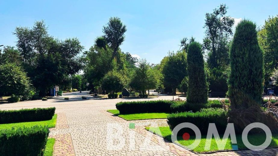 В популярном парке Кривого Рога отремонтируют лодочную станцию (ФОТО, ВИДЕО)
